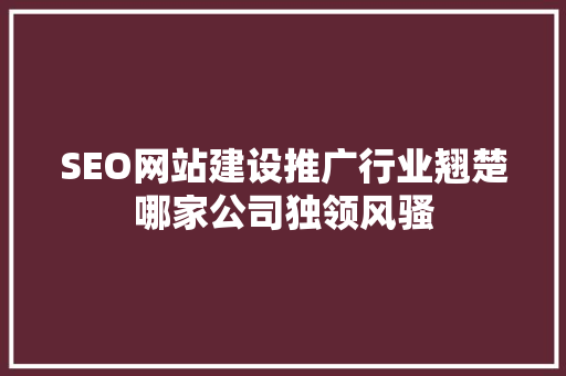 SEO网站建设推广行业翘楚哪家公司独领风骚  第1张