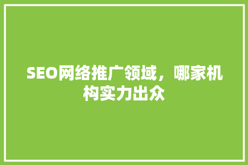 SEO网络推广领域，哪家机构实力出众