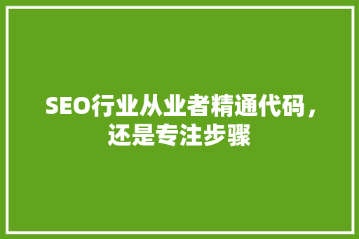 SEO行业从业者精通代码，还是专注步骤