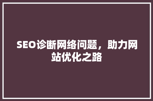 SEO诊断网络问题，助力网站优化之路