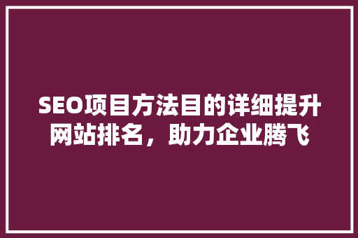 SEO项目方法目的详细提升网站排名，助力企业腾飞  第1张