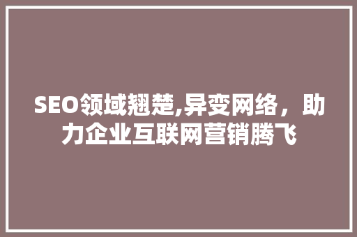 SEO领域翘楚,异变网络，助力企业互联网营销腾飞