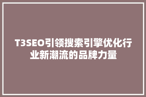 T3SEO引领搜索引擎优化行业新潮流的品牌力量  第1张