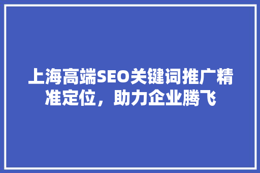上海高端SEO关键词推广精准定位，助力企业腾飞