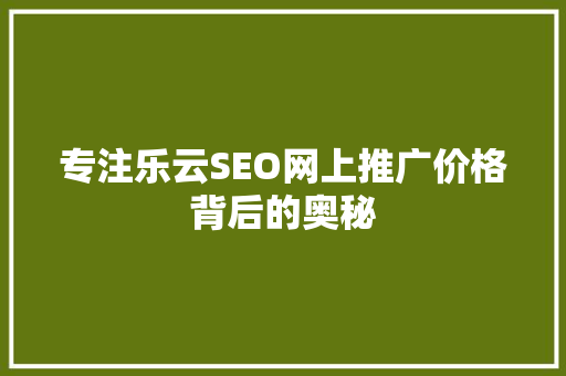专注乐云SEO网上推广价格背后的奥秘