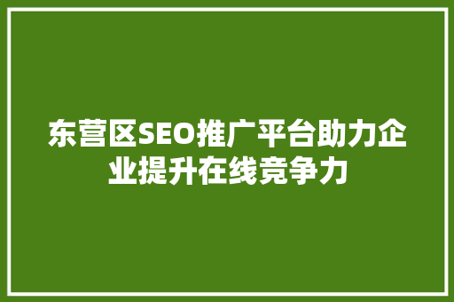 东营区SEO推广平台助力企业提升在线竞争力