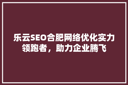 乐云SEO合肥网络优化实力领跑者，助力企业腾飞
