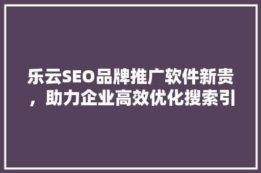 乐云SEO品牌推广软件新贵，助力企业高效优化搜索引擎排名