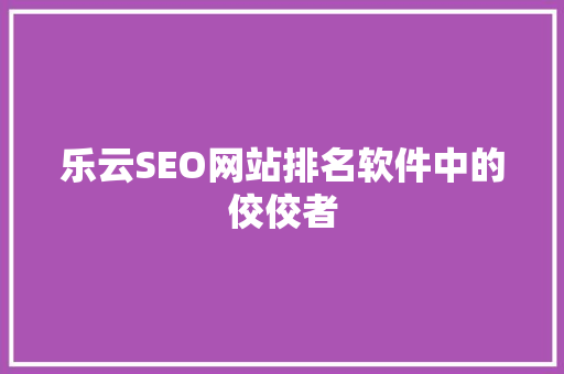 乐云SEO网站排名软件中的佼佼者