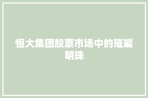 恒大集团股票市场中的璀璨明珠