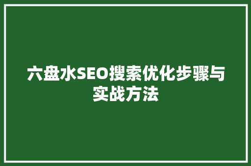 六盘水SEO搜索优化步骤与实战方法