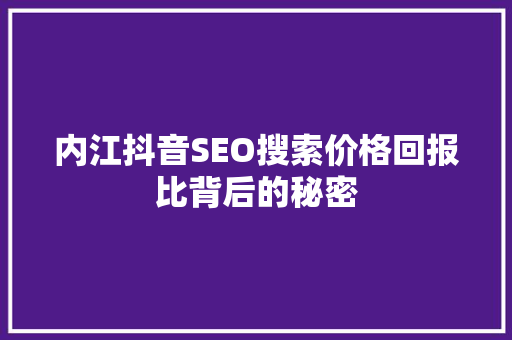 内江抖音SEO搜索价格回报比背后的秘密