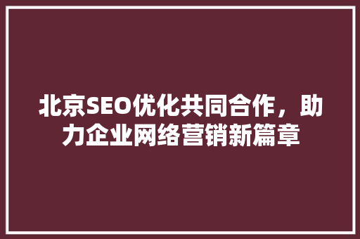 北京SEO优化共同合作，助力企业网络营销新篇章