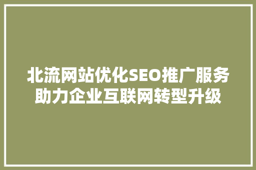 北流网站优化SEO推广服务助力企业互联网转型升级
