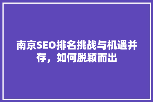 南京SEO排名挑战与机遇并存，如何脱颖而出