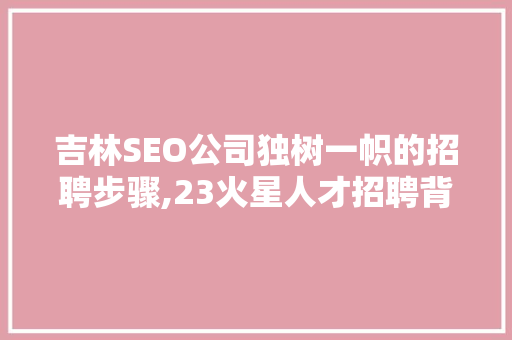吉林SEO公司独树一帜的招聘步骤,23火星人才招聘背后的故事