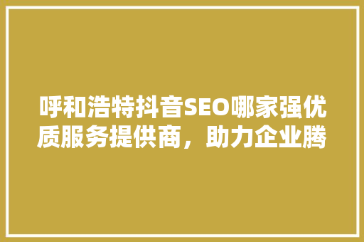 呼和浩特抖音SEO哪家强优质服务提供商，助力企业腾飞