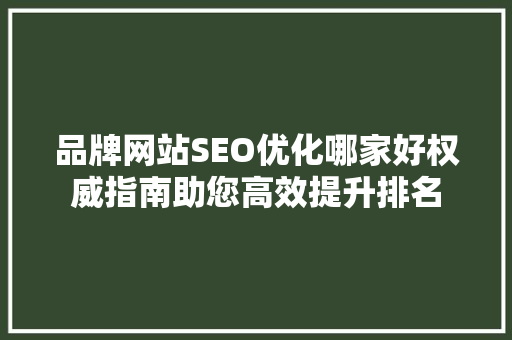 品牌网站SEO优化哪家好权威指南助您高效提升排名