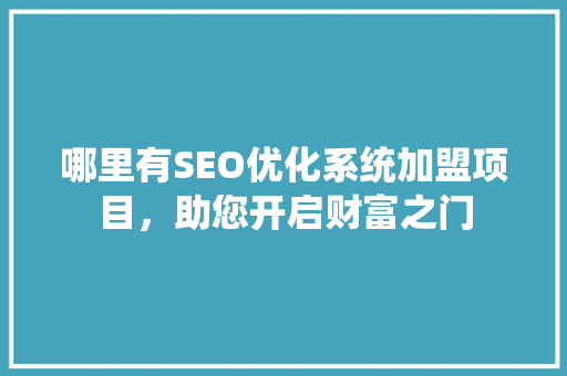 哪里有SEO优化系统加盟项目，助您开启财富之门