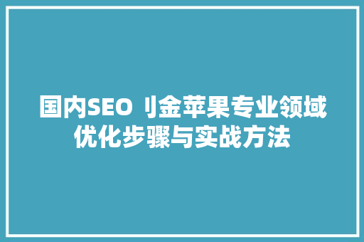 国内SEO刂金苹果专业领域优化步骤与实战方法