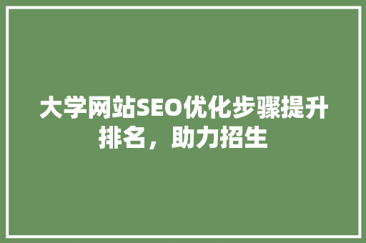 大学网站SEO优化步骤提升排名，助力招生
