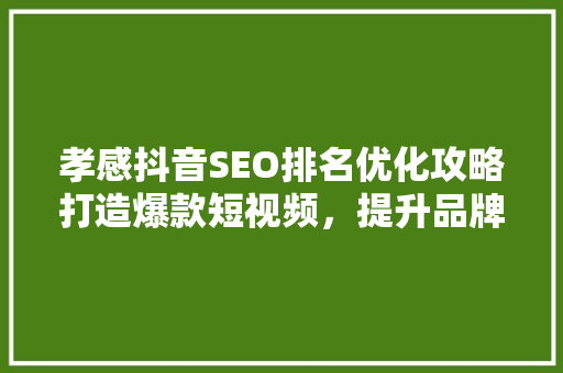 孝感抖音SEO排名优化攻略打造爆款短视频，提升品牌影响力