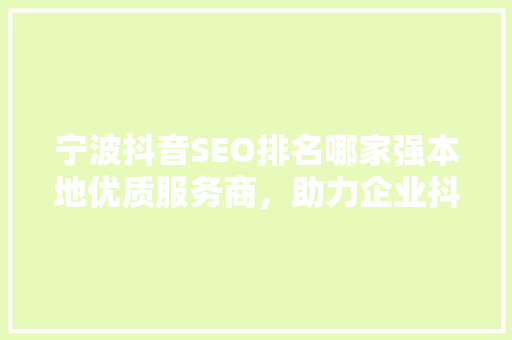 宁波抖音SEO排名哪家强本地优质服务商，助力企业抖音营销腾飞
