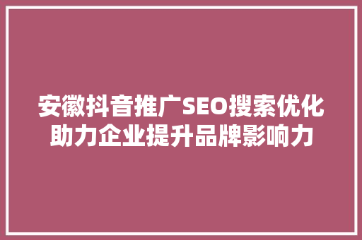 安徽抖音推广SEO搜索优化助力企业提升品牌影响力