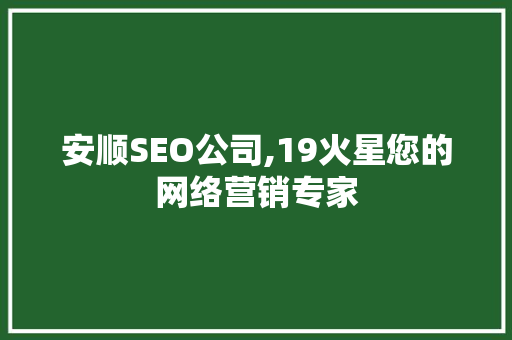 安顺SEO公司,19火星您的网络营销专家