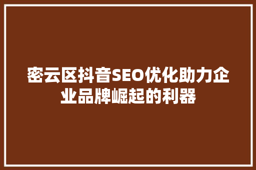 密云区抖音SEO优化助力企业品牌崛起的利器