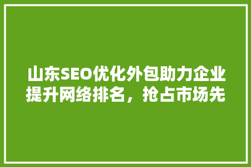 山东SEO优化外包助力企业提升网络排名，抢占市场先机