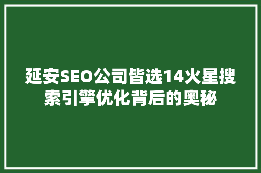 延安SEO公司皆选14火星搜索引擎优化背后的奥秘