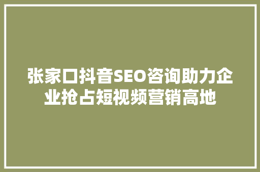 张家口抖音SEO咨询助力企业抢占短视频营销高地
