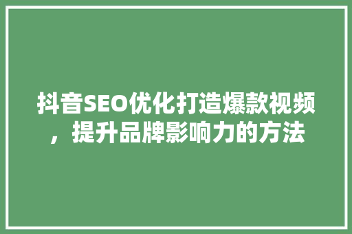抖音SEO优化打造爆款视频，提升品牌影响力的方法