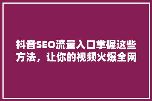 抖音SEO流量入口掌握这些方法，让你的视频火爆全网