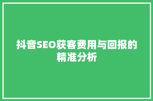 抖音SEO获客费用与回报的精准分析