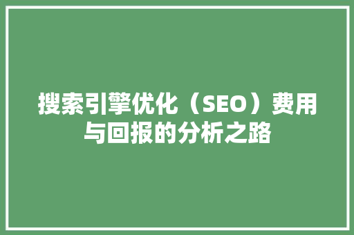 搜索引擎优化（SEO）费用与回报的分析之路