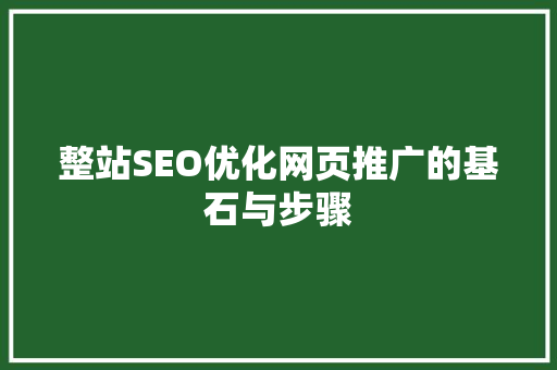 整站SEO优化网页推广的基石与步骤