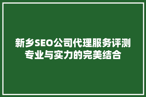 新乡SEO公司代理服务评测专业与实力的完美结合
