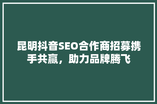 昆明抖音SEO合作商招募携手共赢，助力品牌腾飞  第1张