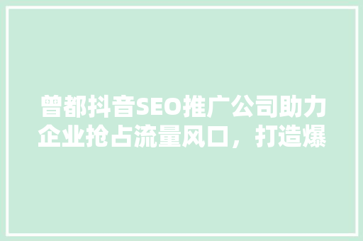 曾都抖音SEO推广公司助力企业抢占流量风口，打造爆款内容