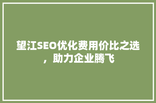 望江SEO优化费用价比之选，助力企业腾飞