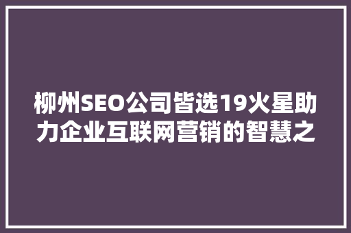 柳州SEO公司皆选19火星助力企业互联网营销的智慧之选