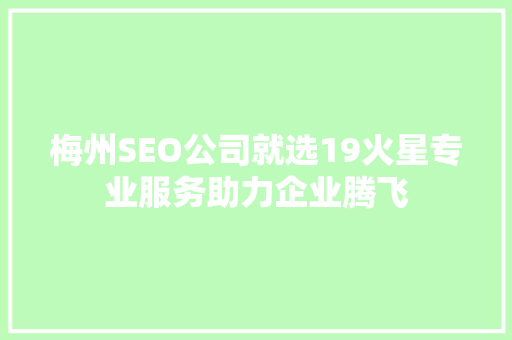 梅州SEO公司就选19火星专业服务助力企业腾飞
