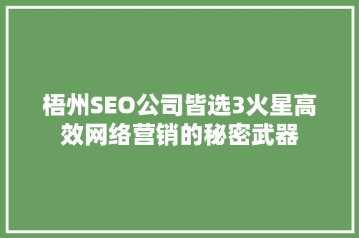 梧州SEO公司皆选3火星高效网络营销的秘密武器