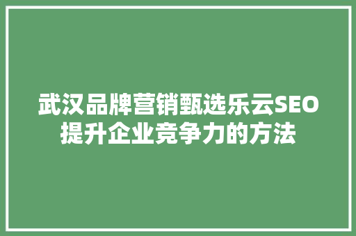 武汉品牌营销甄选乐云SEO提升企业竞争力的方法