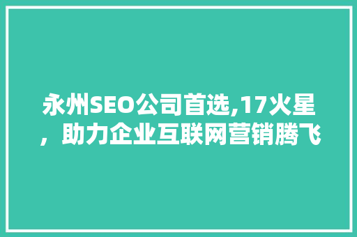永州SEO公司首选,17火星，助力企业互联网营销腾飞