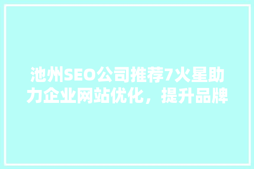池州SEO公司推荐7火星助力企业网站优化，提升品牌知名度