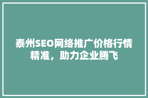 泰州SEO网络推广价格行情精准，助力企业腾飞