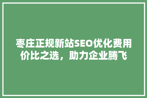 枣庄正规新站SEO优化费用价比之选，助力企业腾飞